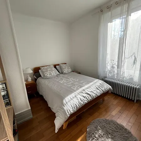 Entre Et Montagnes 100m2 Thann